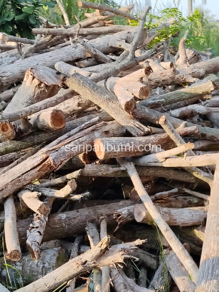 Indonesian Hardwood Charcoal Supplier